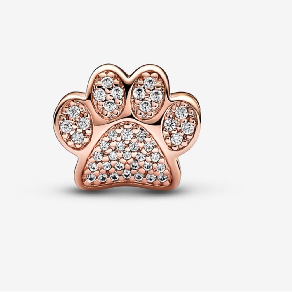 Pandora charms